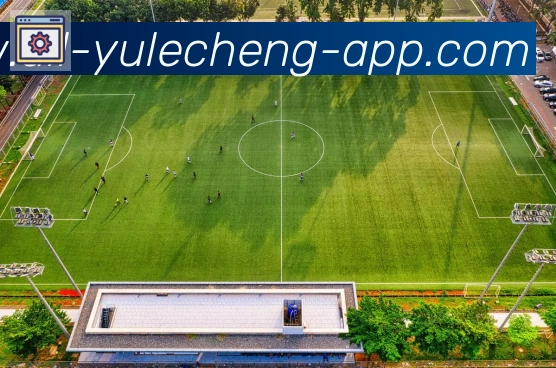 奖项图2